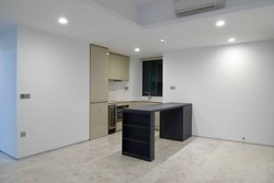 Skysuites@Anson (D2), Apartment #202190952